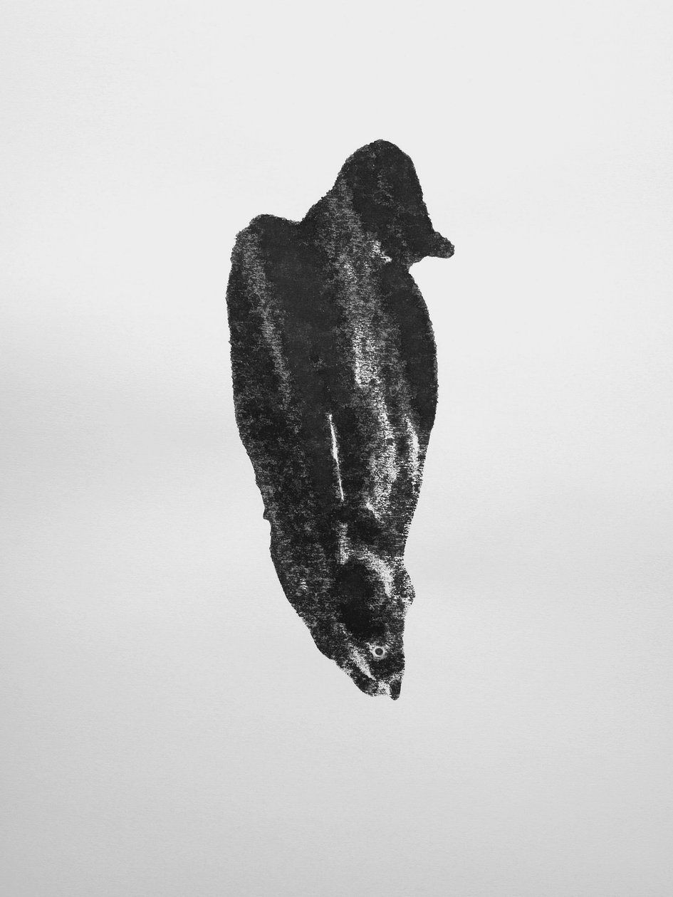 Uten tittel, 2009 (monotypi) av Richard Green