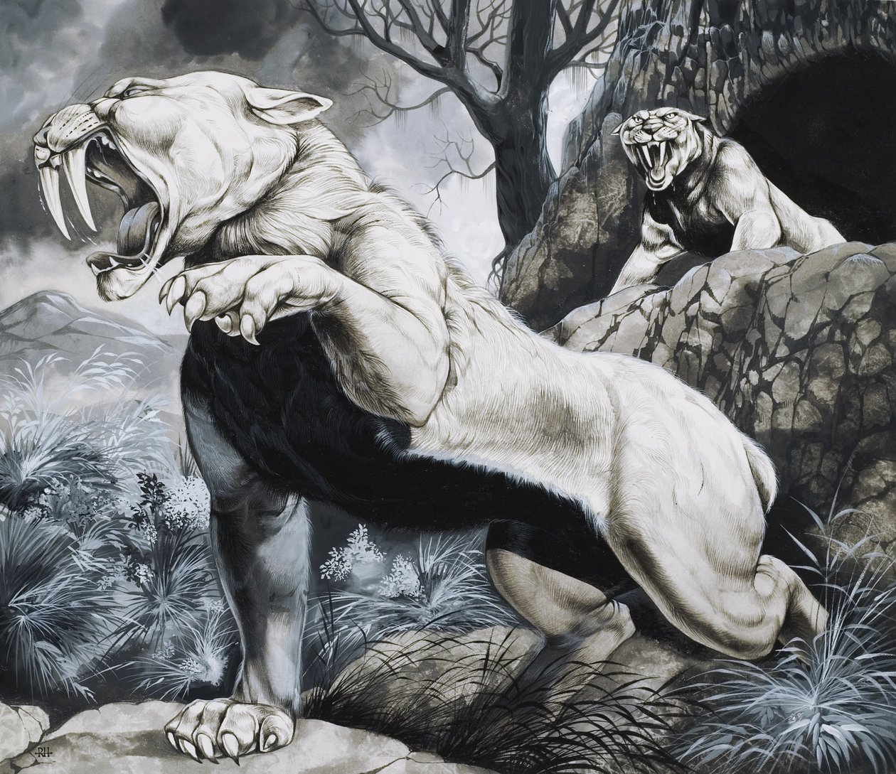  av Richard Hook
