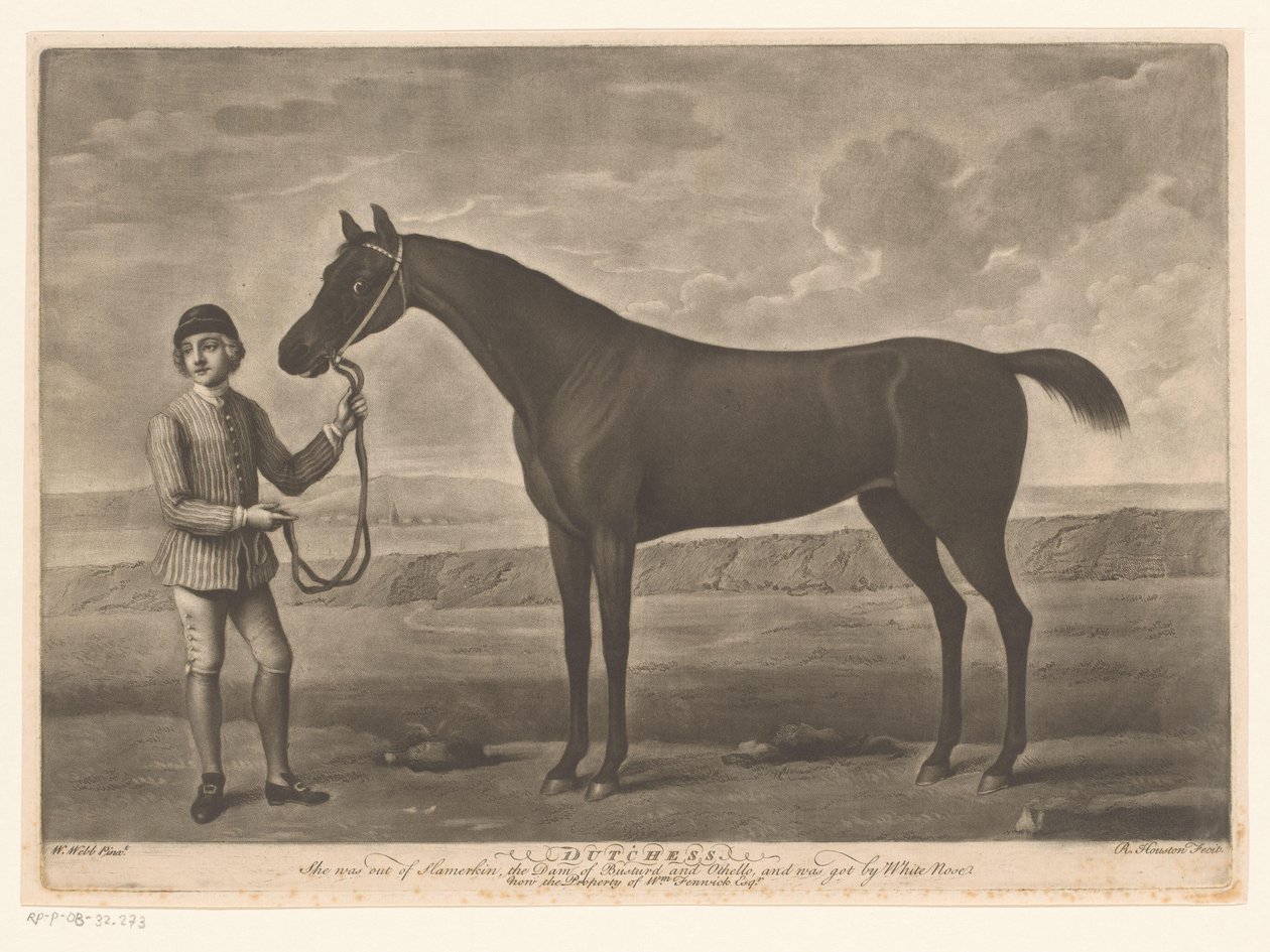 Racepaard med jockey Dutchess av Richard Houston