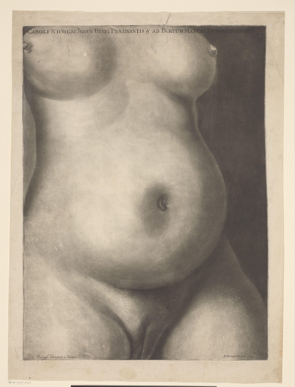 Torso av en gravid kvinne Seks anatomiske utskrifter av en graviditet (serietittel) Demonstrasjoner av en gravid livmor til en kvinne på heltid (...) (serietittel) Caroli Nicolai Jenty Uteri Praegnantis & ad Partum Maturi Demonstrationes (serier av Richard Purcell