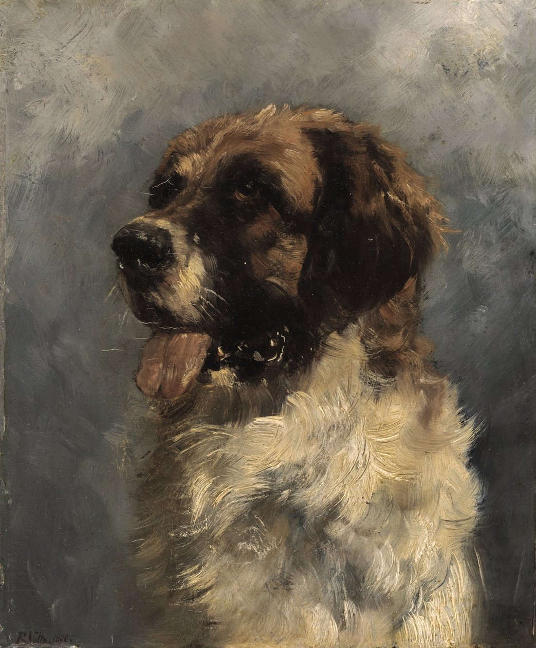 Bernhardiner Hund av Richard Voltz