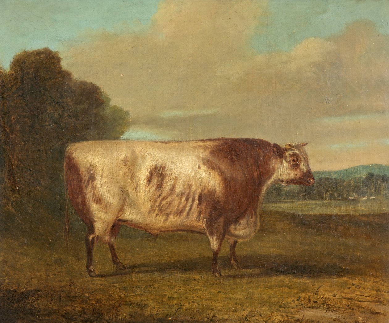 En okse, 1862 av Richard Whitford