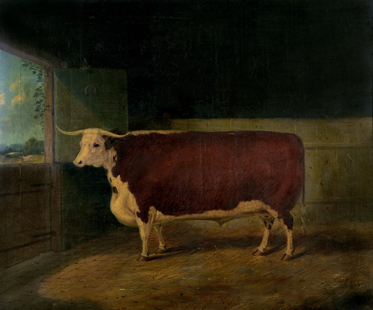 Portrett av en pris Hereford Steer, 1874 av Richard Whitford