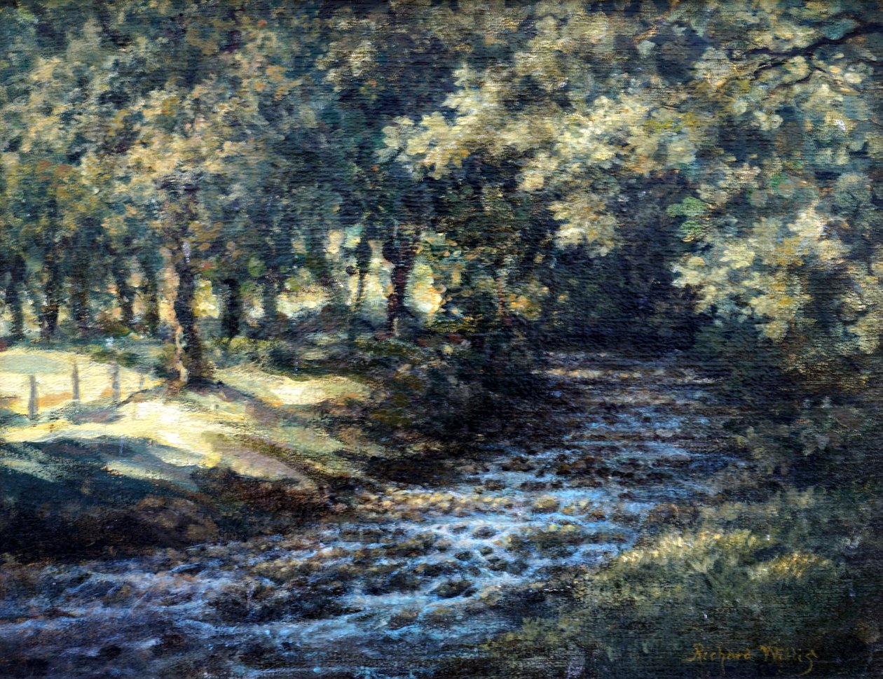English River av Richard Willis