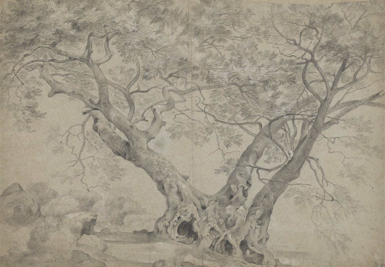 Arbra Sacra på bredden av Lake Nemi, ca. 1754-56 (svart og hvitt kritt på papir) av Richard Wilson