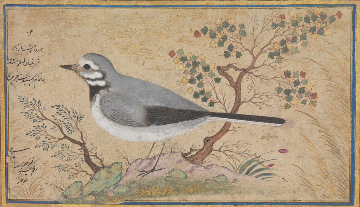 Study of a Bird, datert A.H. 1043A.D. 1634. av Riza