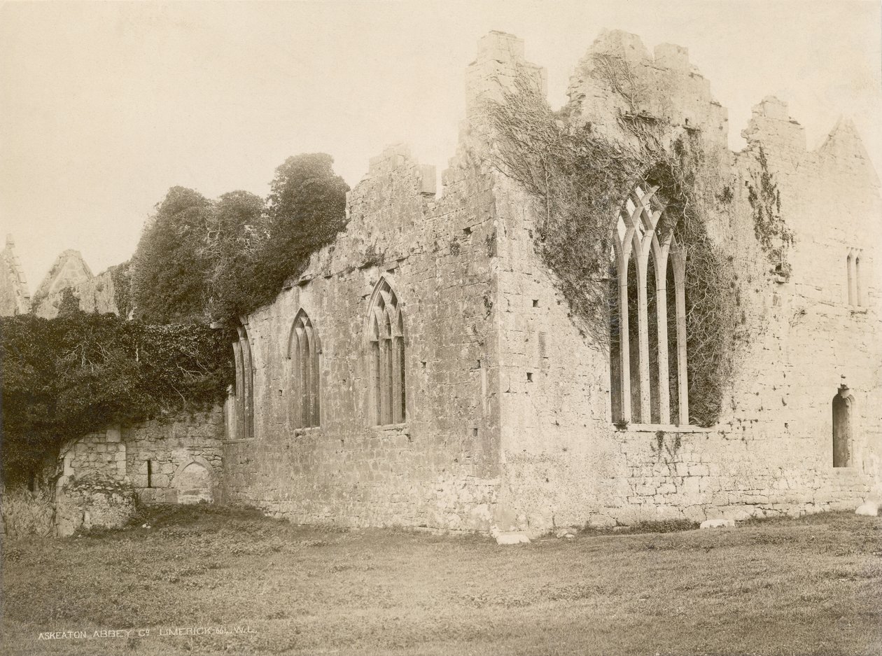 Askeaton Abbey (sepia-bilde) av Robert French