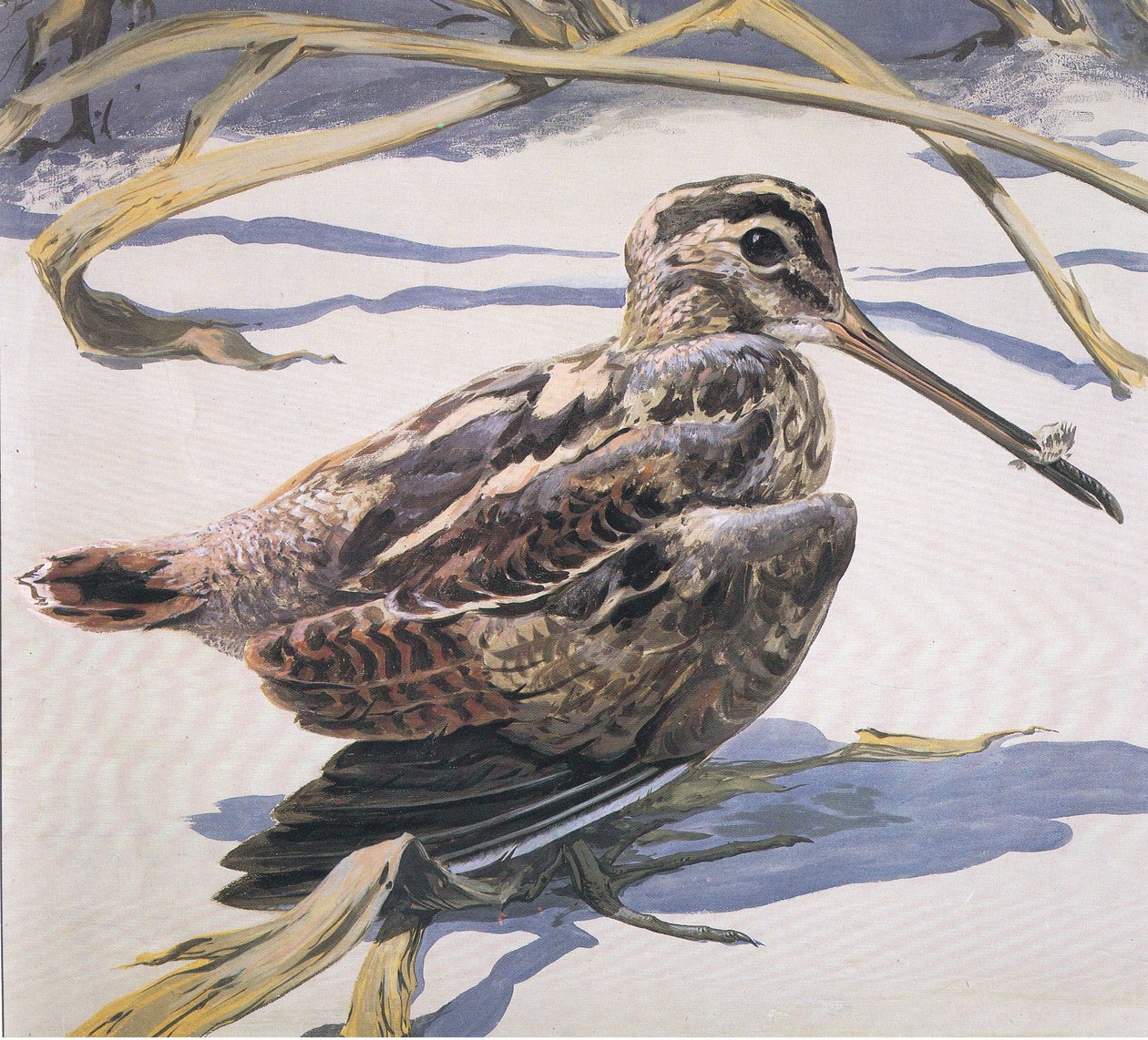 Snipe av Robert George Talbot Kelly