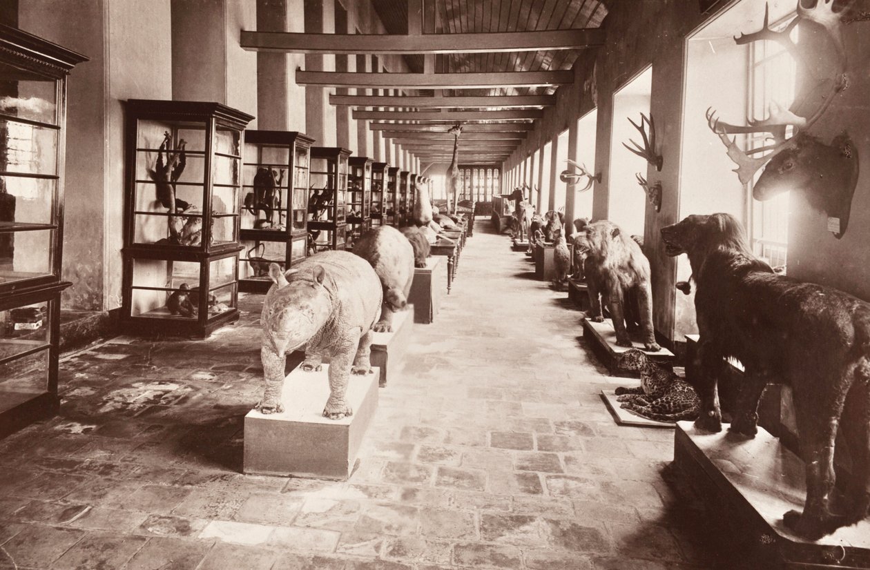 Nasjonalmuseet i Bangkok, ca. 1890 av Robert Lenz