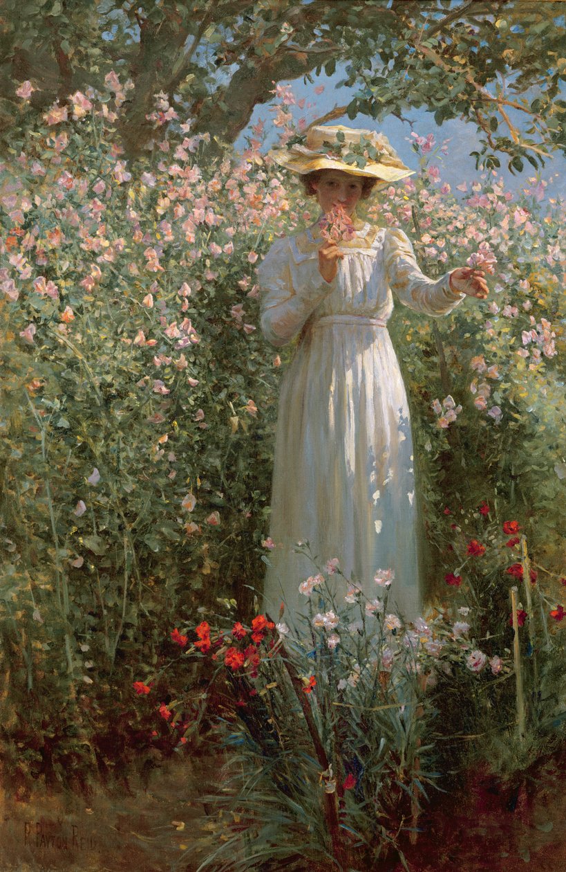 Blant blomstene av Robert Payton Reid