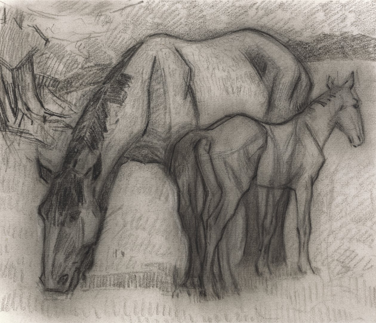 Studie for hoppe og føll, Lytchetts, Clayhidon, 1917 (svart fargestift på papir) av Robert Polhill Bevan