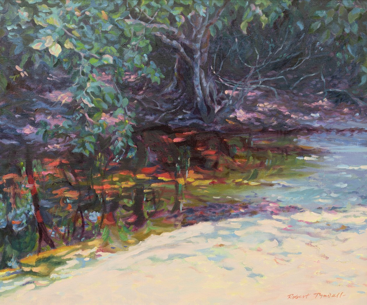 Beach and Rain Forest, Cape Tribulation, Northern Queensland, Australia av Robert Tyndall