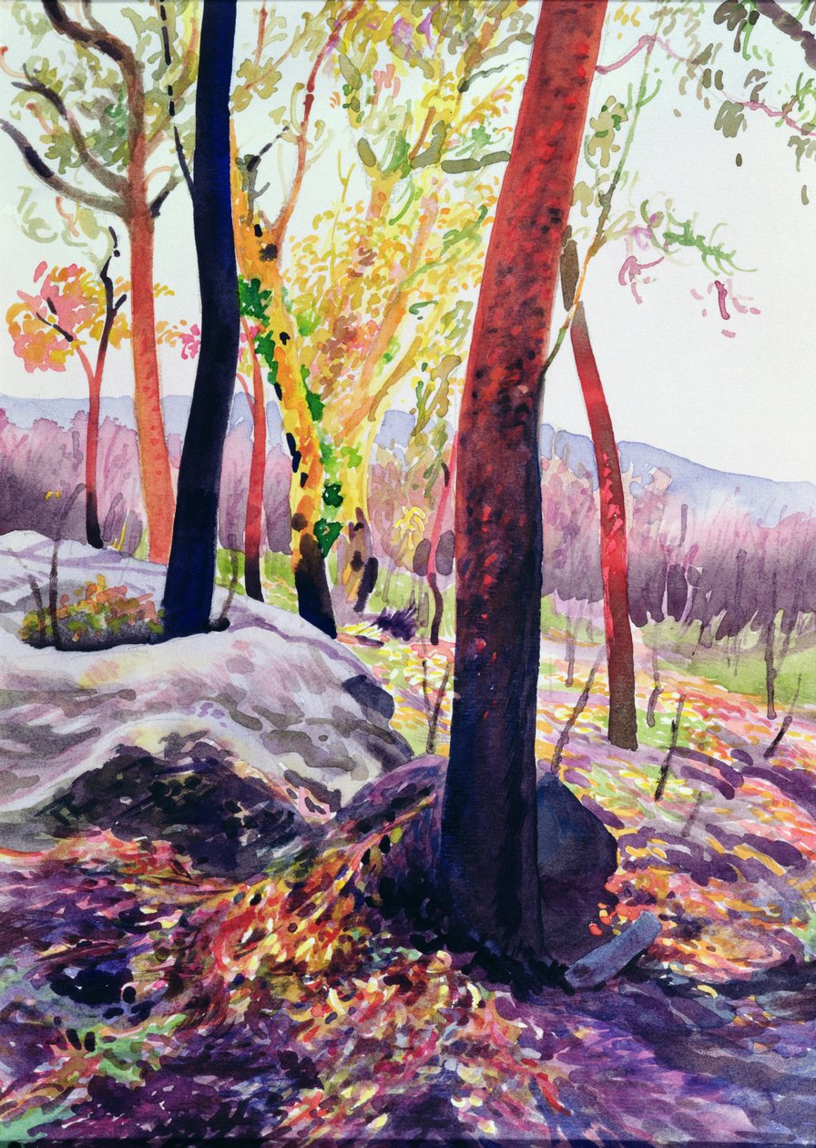 Bush Fire Survivors, Sydney, 1994 (wc) av Robert Tyndall