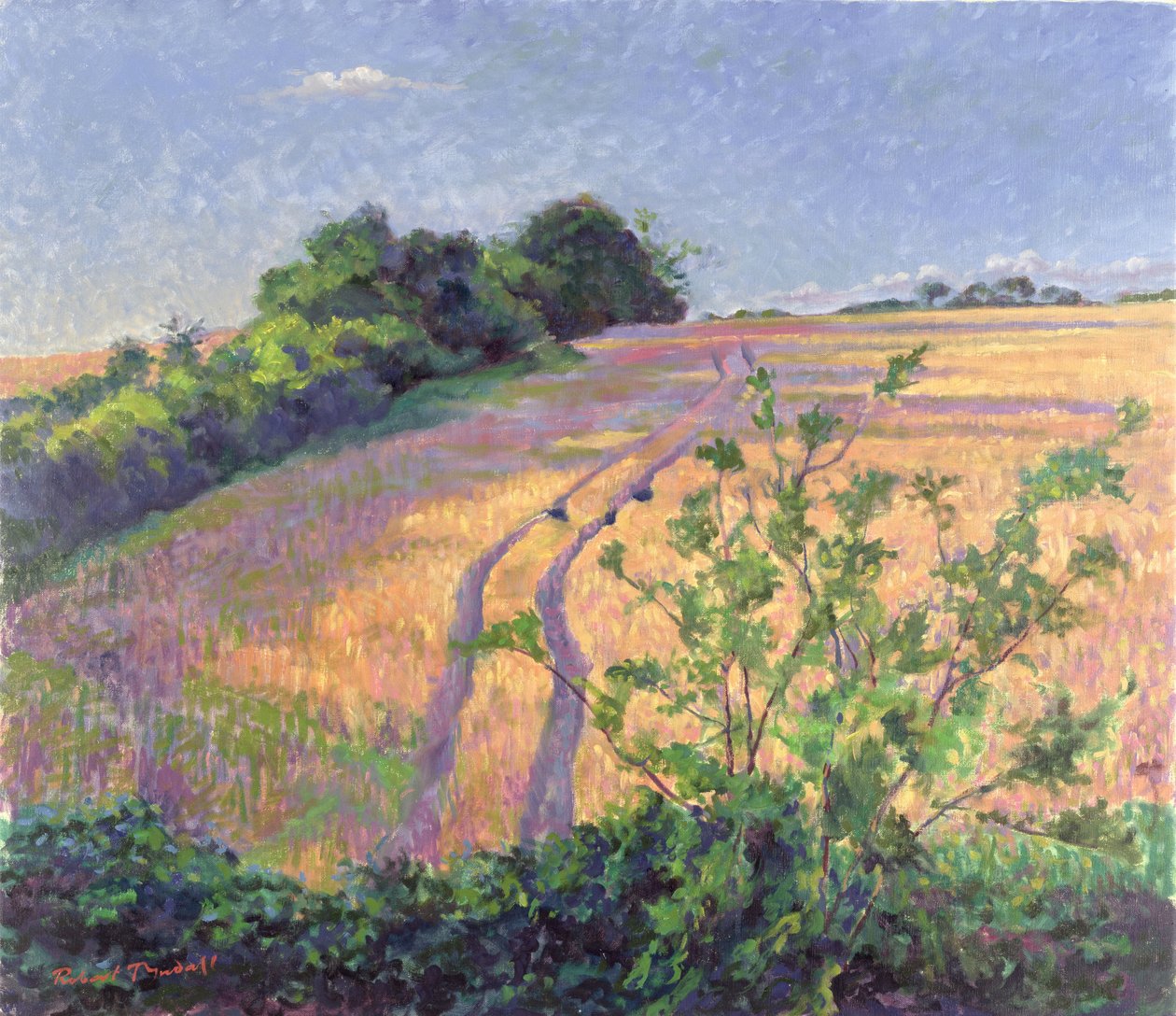 Gylden sommer av Robert Tyndall