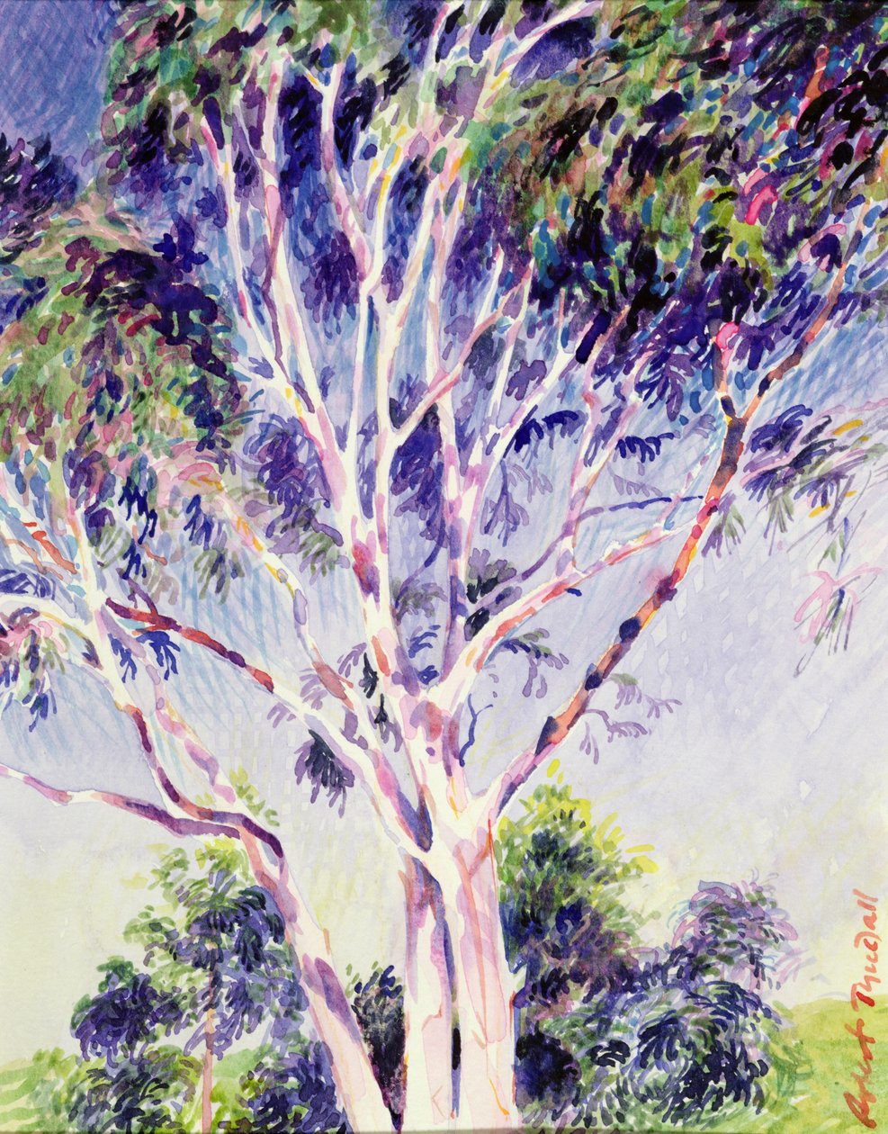 Gum Tree, Australia (wc) av Robert Tyndall