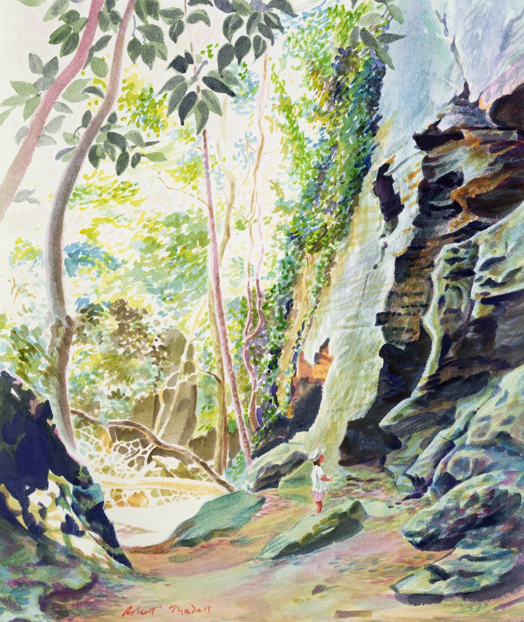 Steiner nær Nowra, N.S.W. Australia (wc) av Robert Tyndall