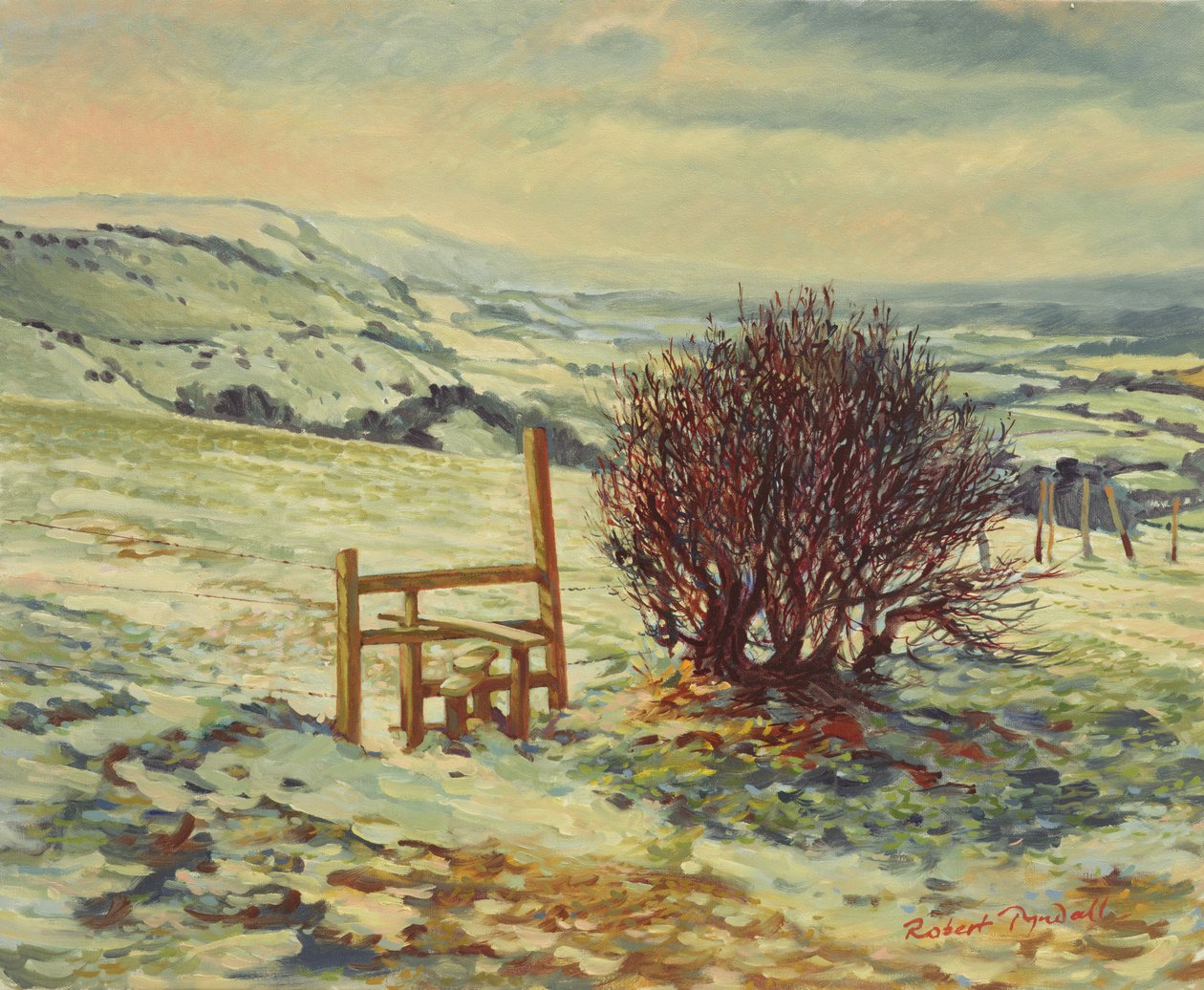 Sussex Stile, vinter, 1996 av Robert Tyndall