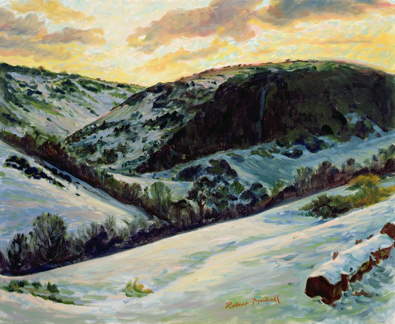 The Devils Dyke om vinteren, 1996 av Robert Tyndall