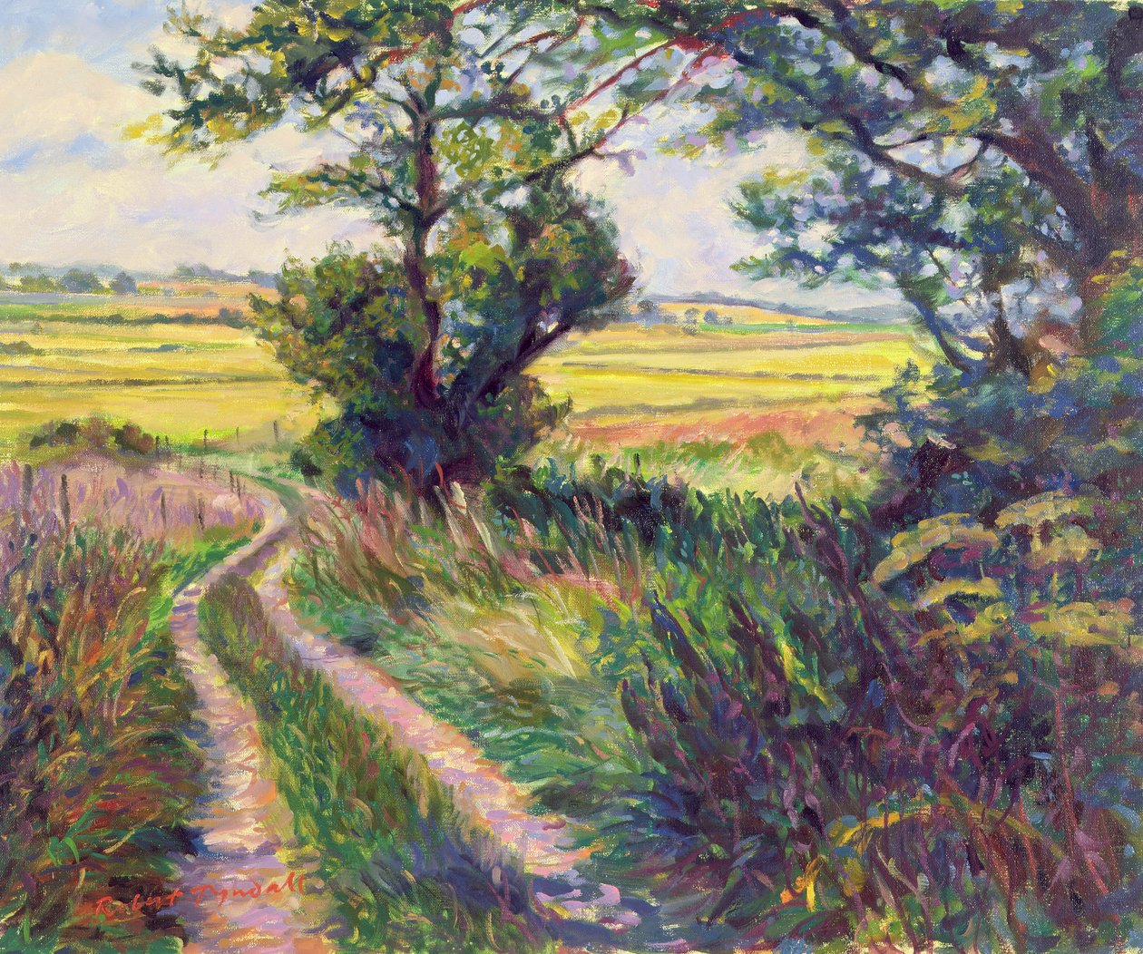 Sporet til Boleyns Farm, Kent av Robert Tyndall