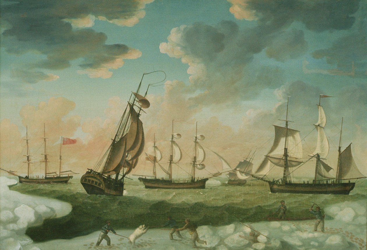 Arktisk scene av Robert Willoughby
