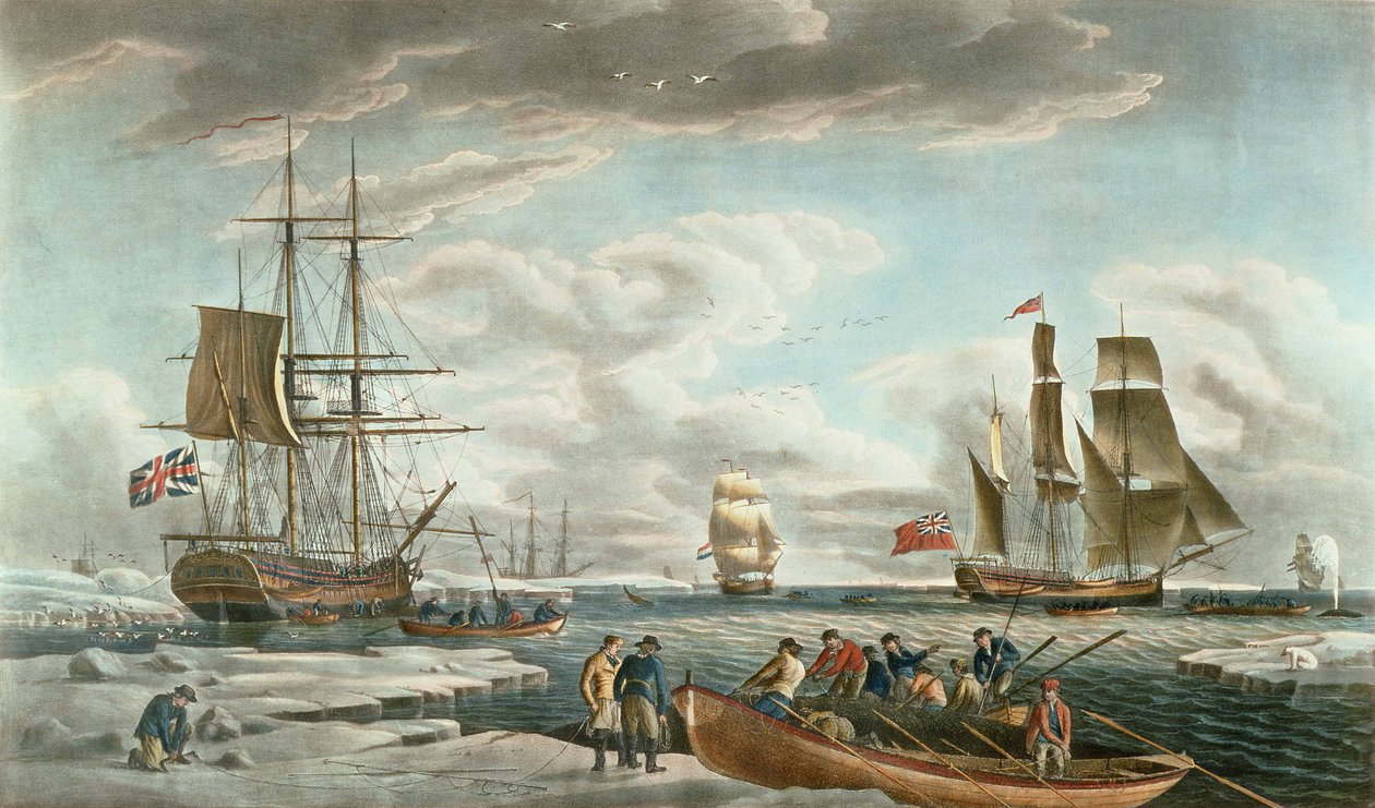  av Robert (after) Dodd