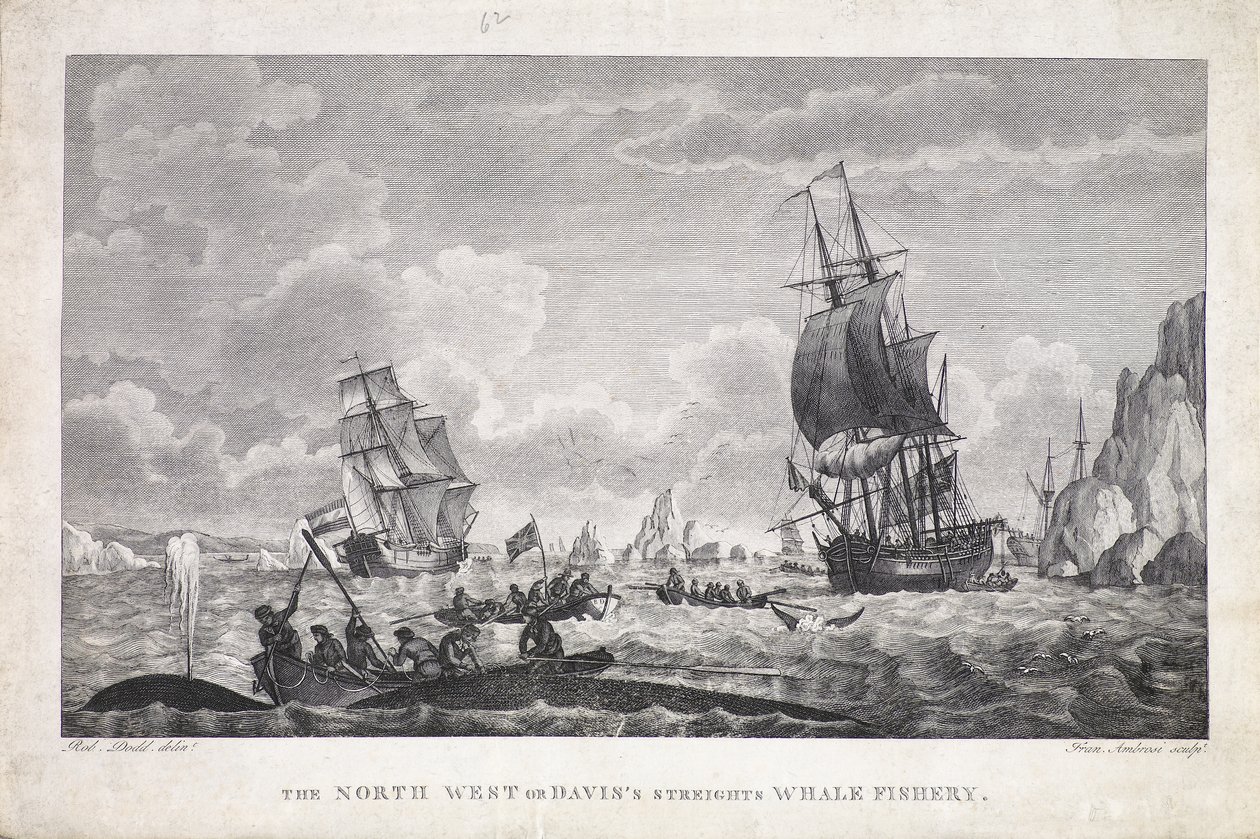  av Robert (after) Dodd
