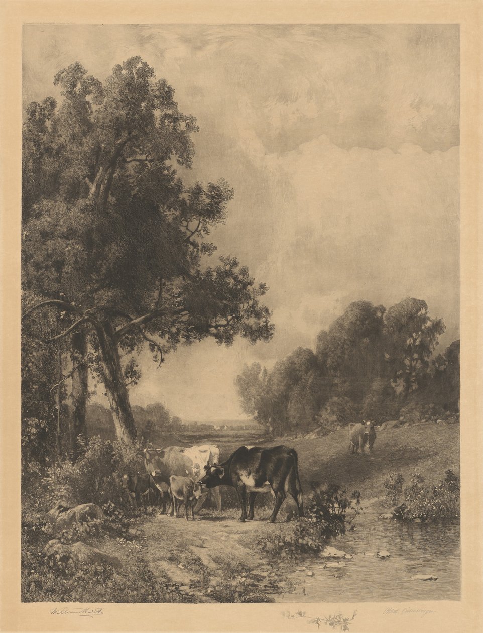 Uten tittel (Kyr og kalver ved en bekk) av Robert A. Eichelberger