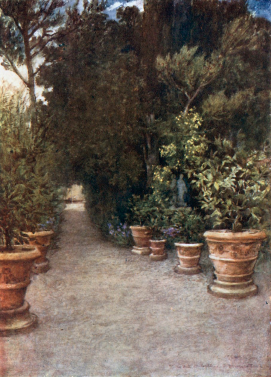 The Ilex Walk, Villa dell#39; Ombrellino San Domenico, i april (farge litho) av Robert Charles Goff