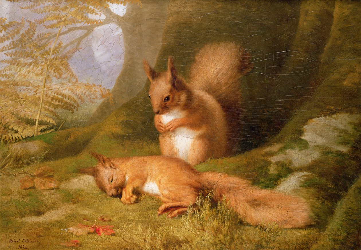 Squirrels in a Wood, 1874 av Robert Collinson