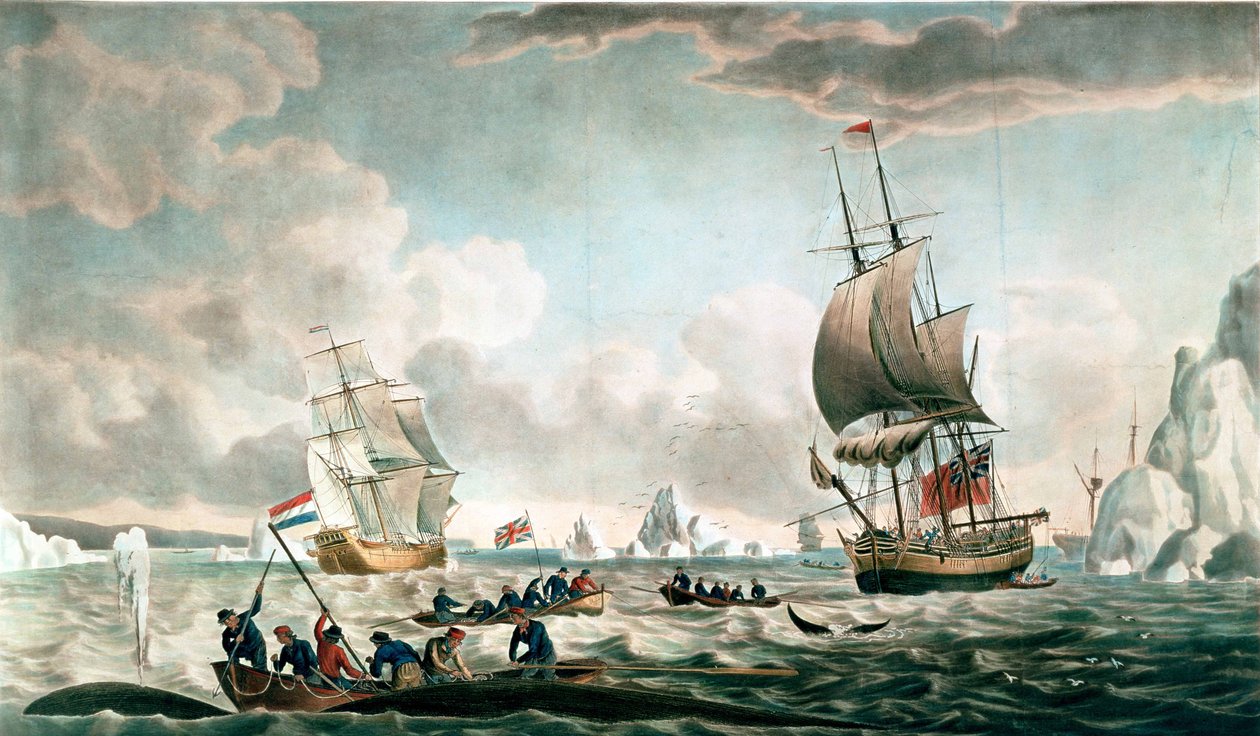  av Robert Dodd