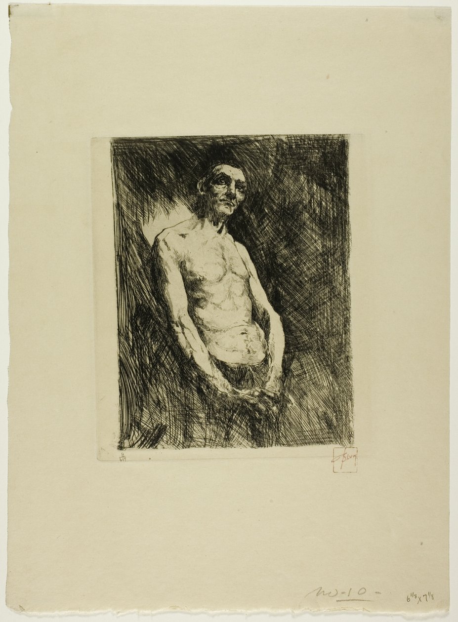  av Robert Frederick Blum