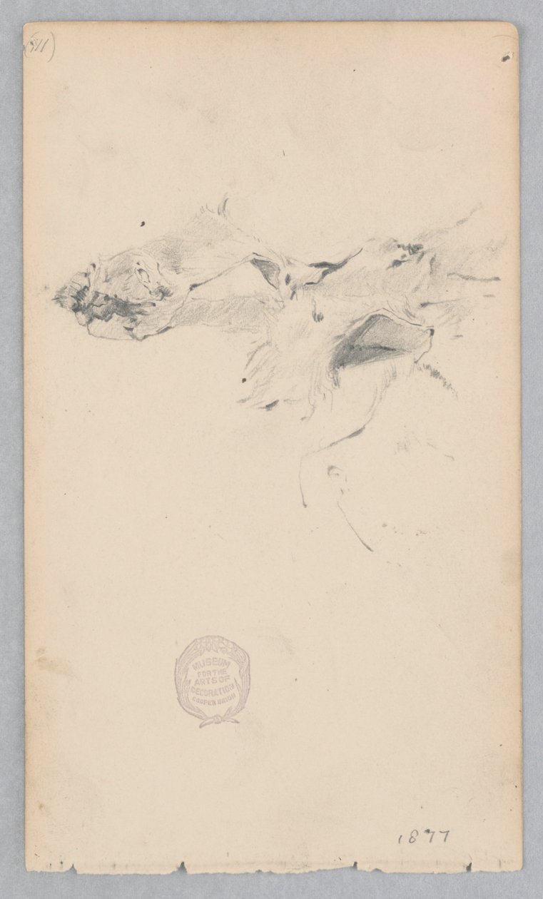 Teppe i tigerskinn av Robert Frederick Blum
