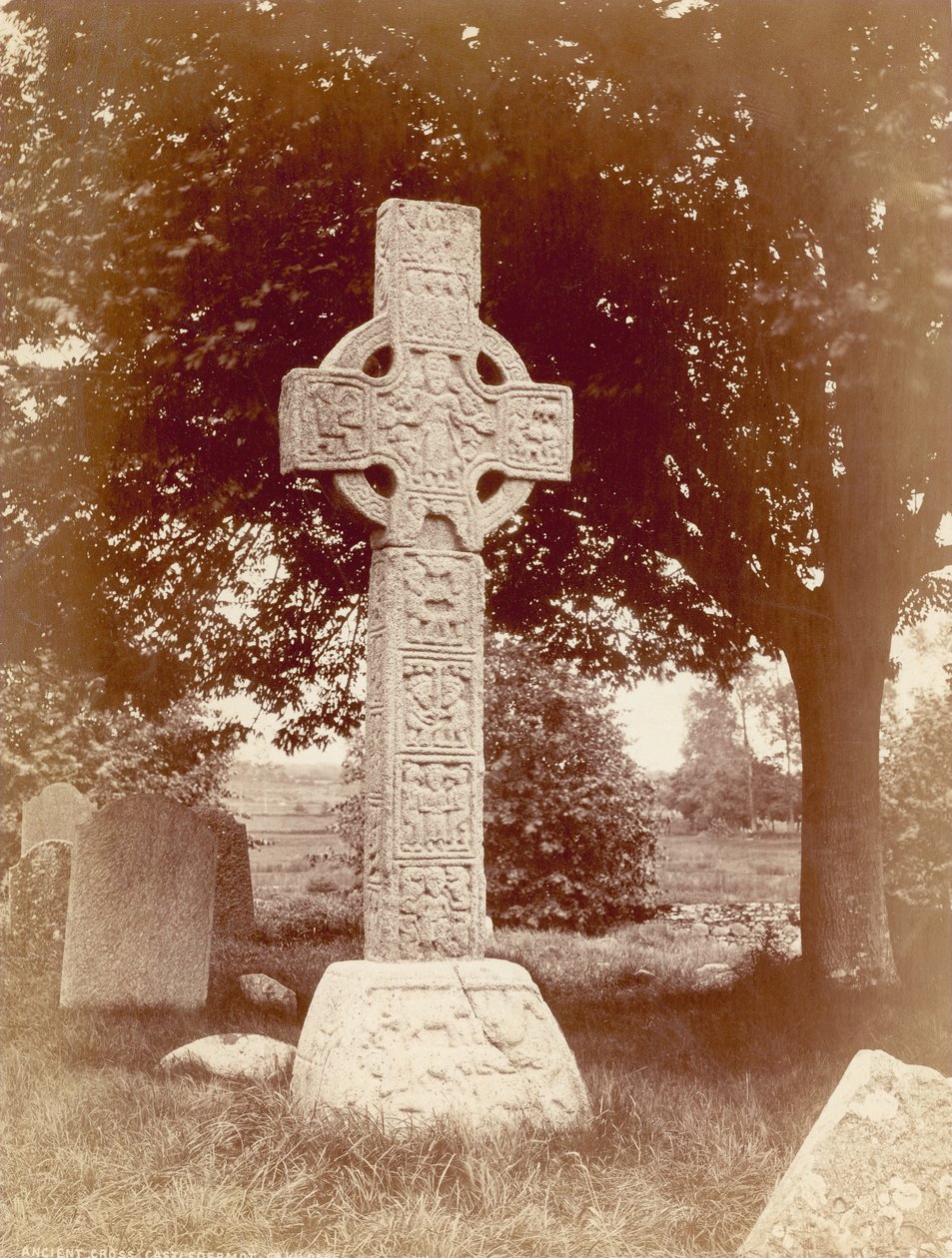 South High Cross ved Castledermot, Co. Kildare, Irland (sepia-bilde) av Robert French