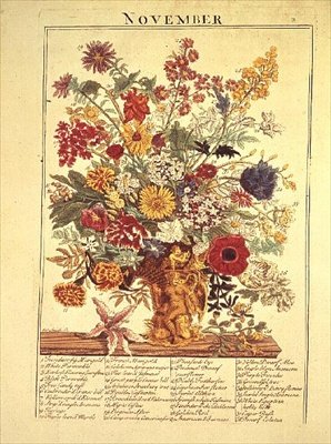 november fra "Flower Garden Displayed" av Robert Furber