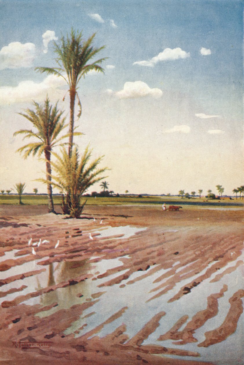 An Irrigated Field, c1880, 1904 av Robert George Talbot Kelly