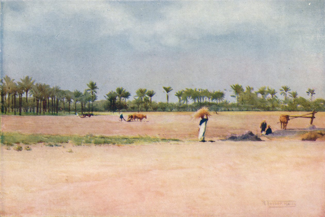 Esbet-El-Ekiad - Land of Goshen, c1880, 1904 av Robert George Talbot Kelly