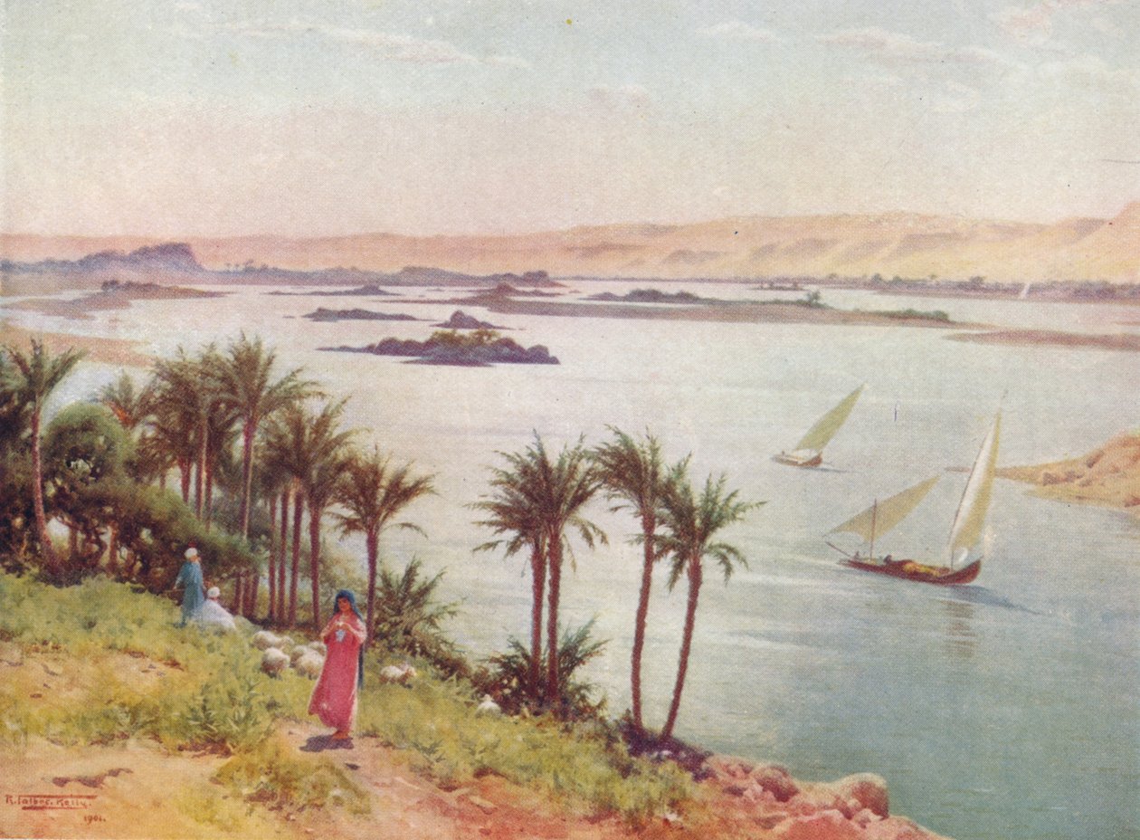 Første grå stær fra Elephantine Island, c1880, 1904 av Robert George Talbot Kelly