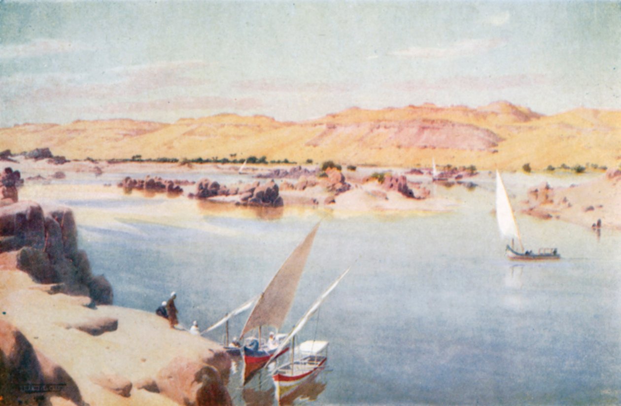 Den første grå stæren (fargelitografi) av Robert George Talbot Kelly