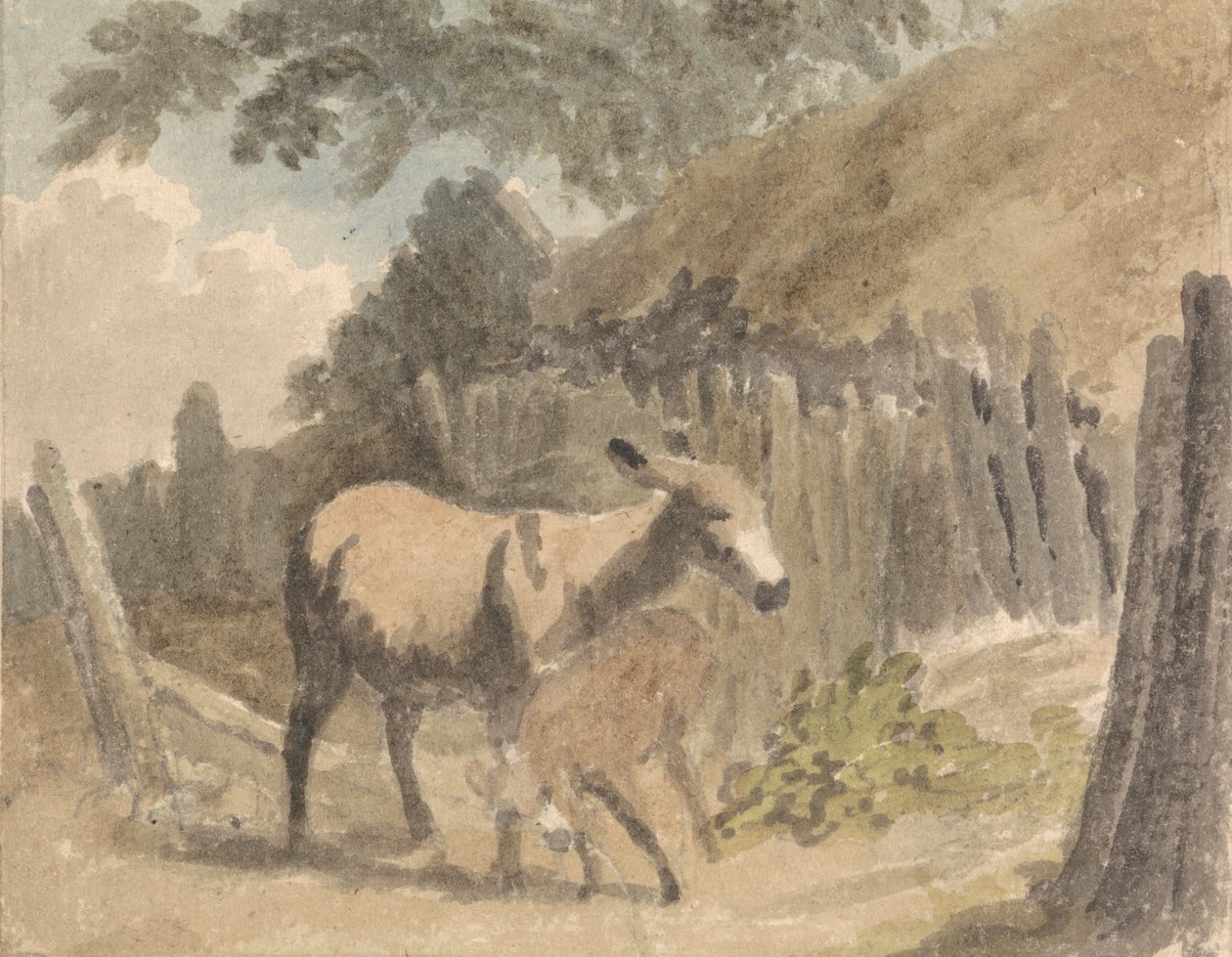 Et esel og føll av Robert Hills