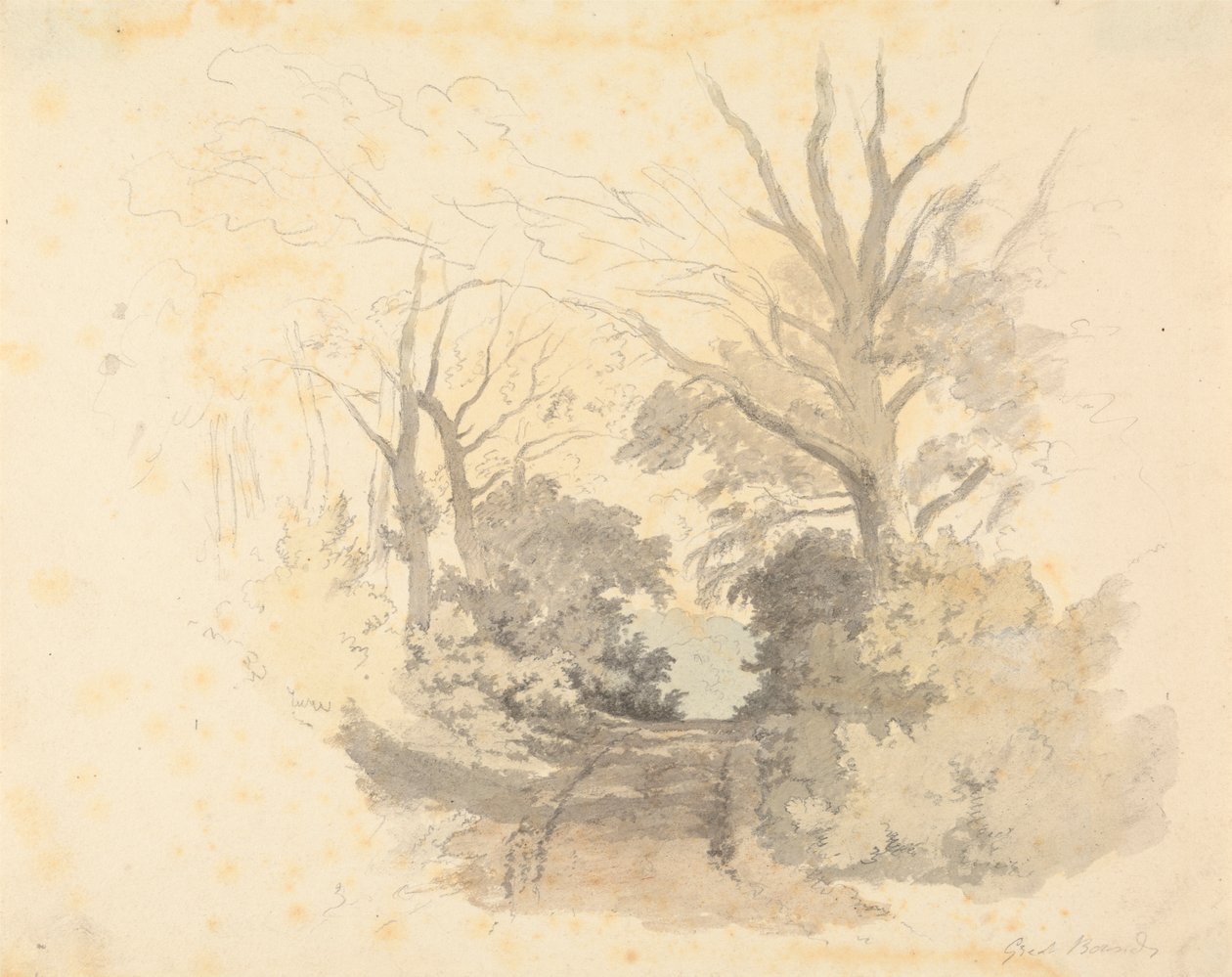 A Lane, Great Borside av Robert Hills