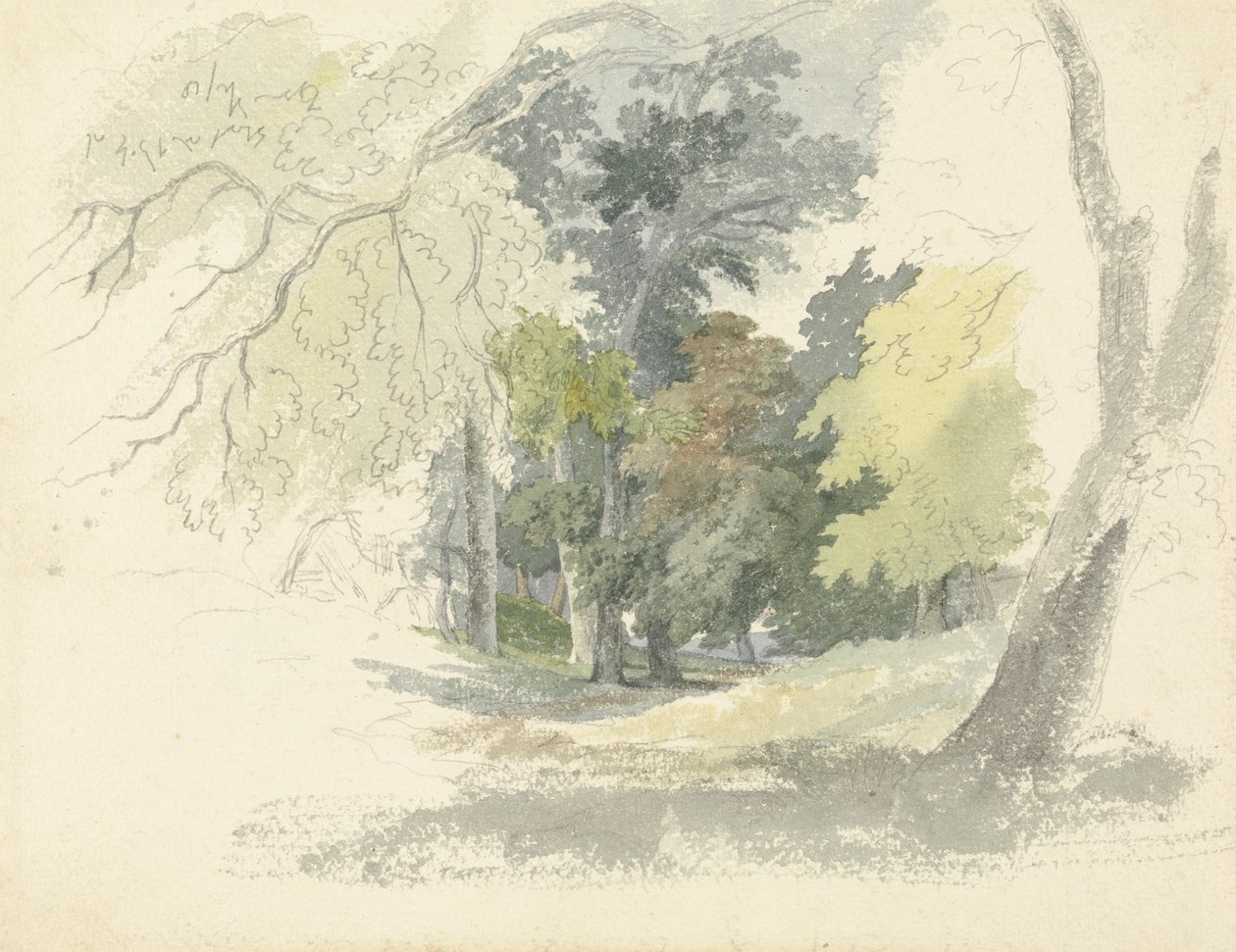 En Woodland Glade av Robert Hills