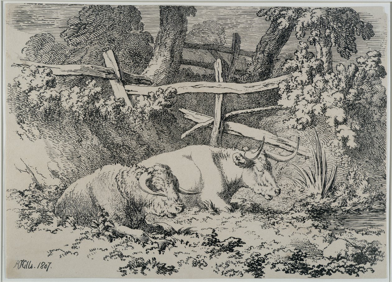 Storfe hviler, 1807 av Robert Hills