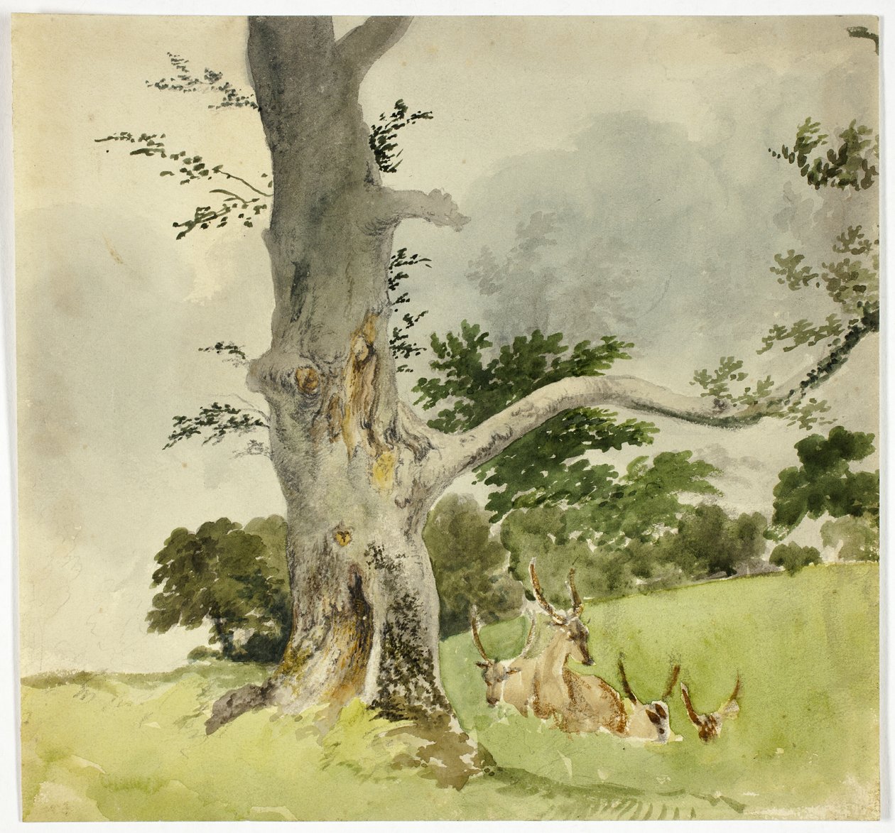  av Robert Hills