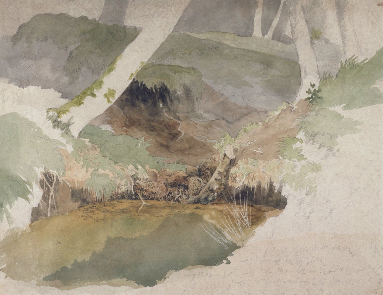 Forest Pool (wc over grafitt på papir) av Robert Hills