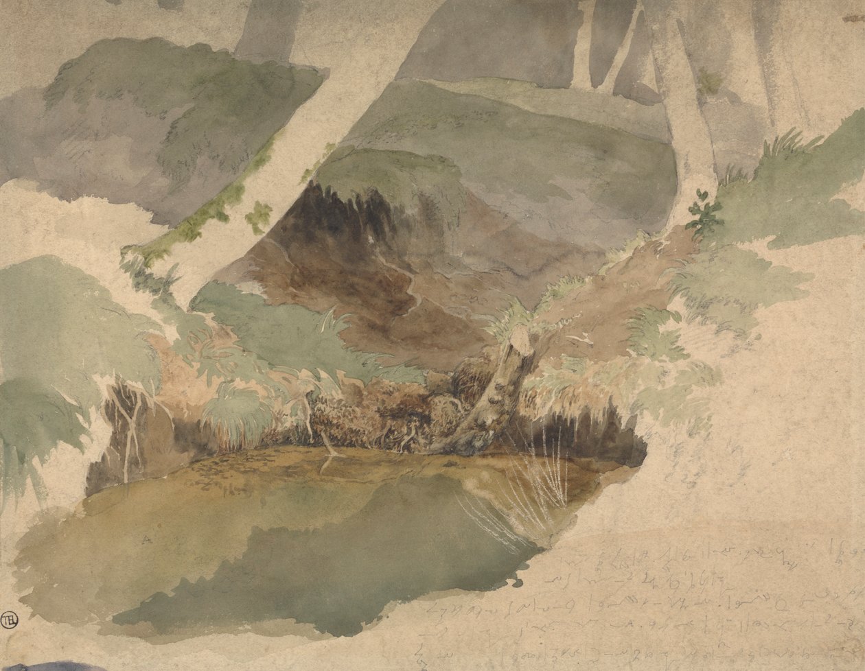 Skogsbasseng av Robert Hills
