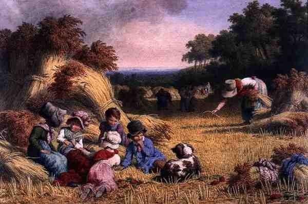 Harvest Field av Robert Hills