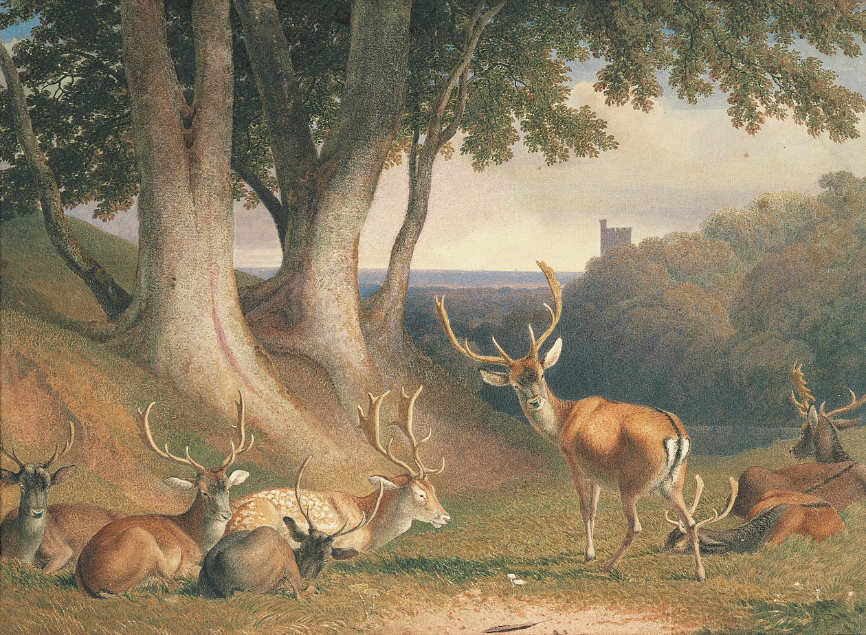  av Robert Hills