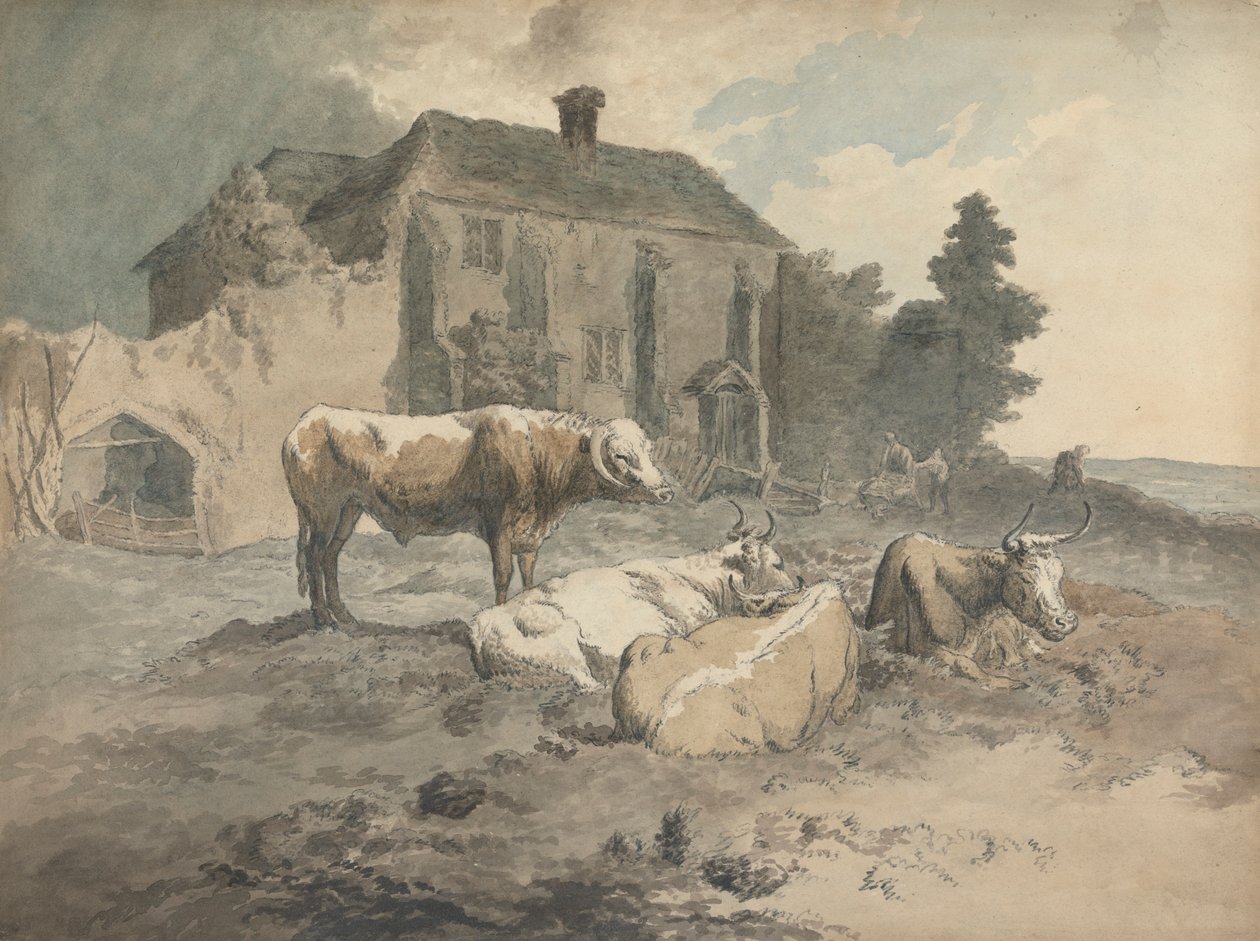 Langhornet storfe av Robert Hills