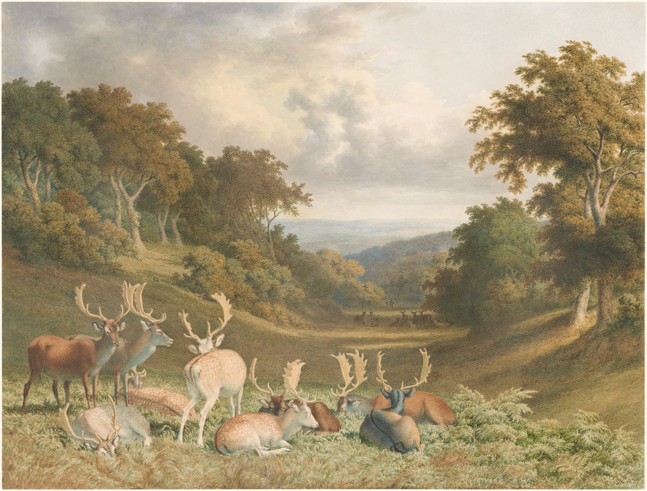 Hjorter i Knole Park, Kent av Robert Hills