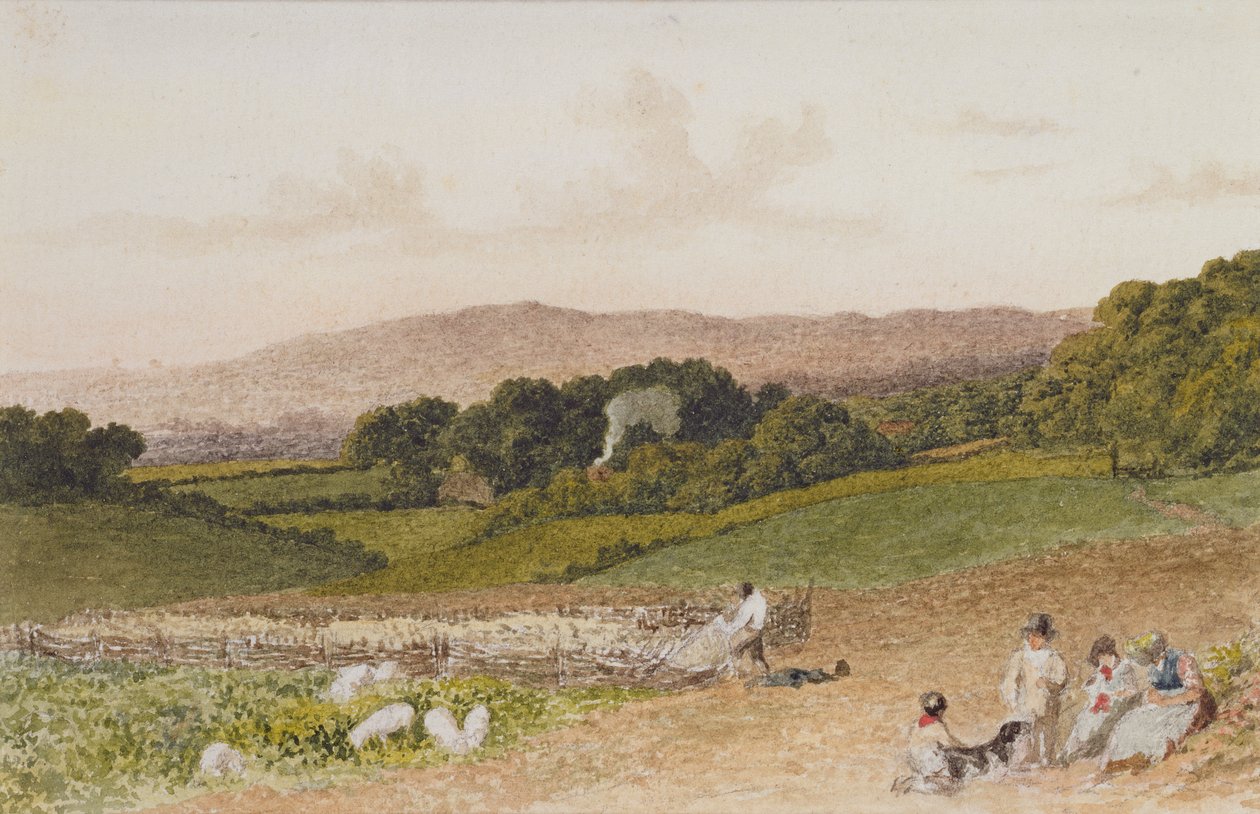 Nepefeltet av Robert Hills